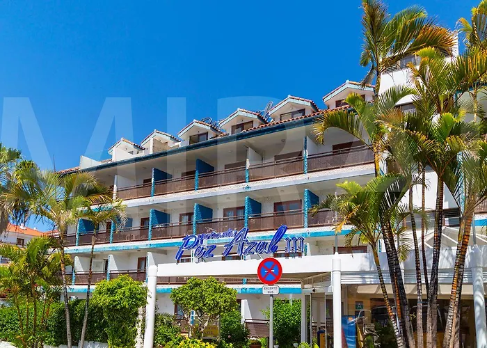 Pez Azul Puerto de la Cruz (Tenerife)